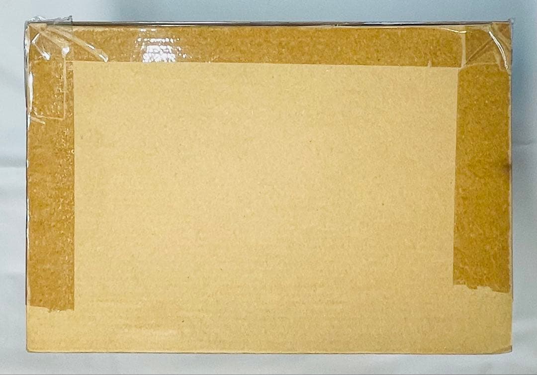 DX超合金 VF-25F トルネードメサイアバルキリー （早乙女アルト機）