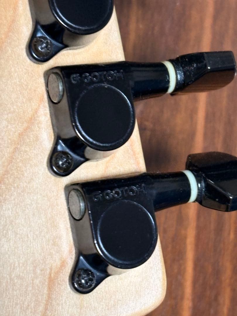 FERNANDES エレキギター サスティナー搭載モデル