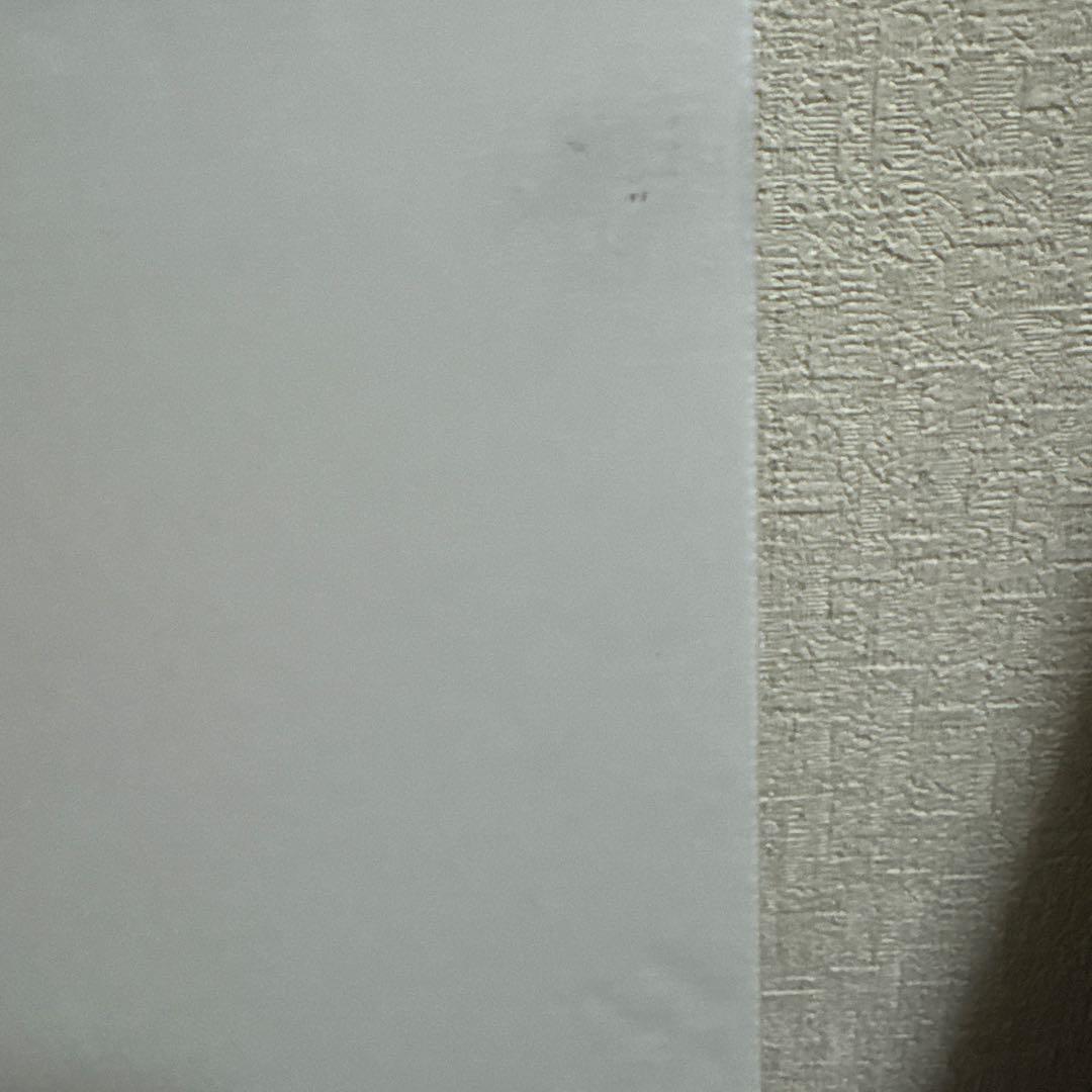 ブルーアーカイブ　額装イラスト　陽ひらく彼女たちの小夜曲