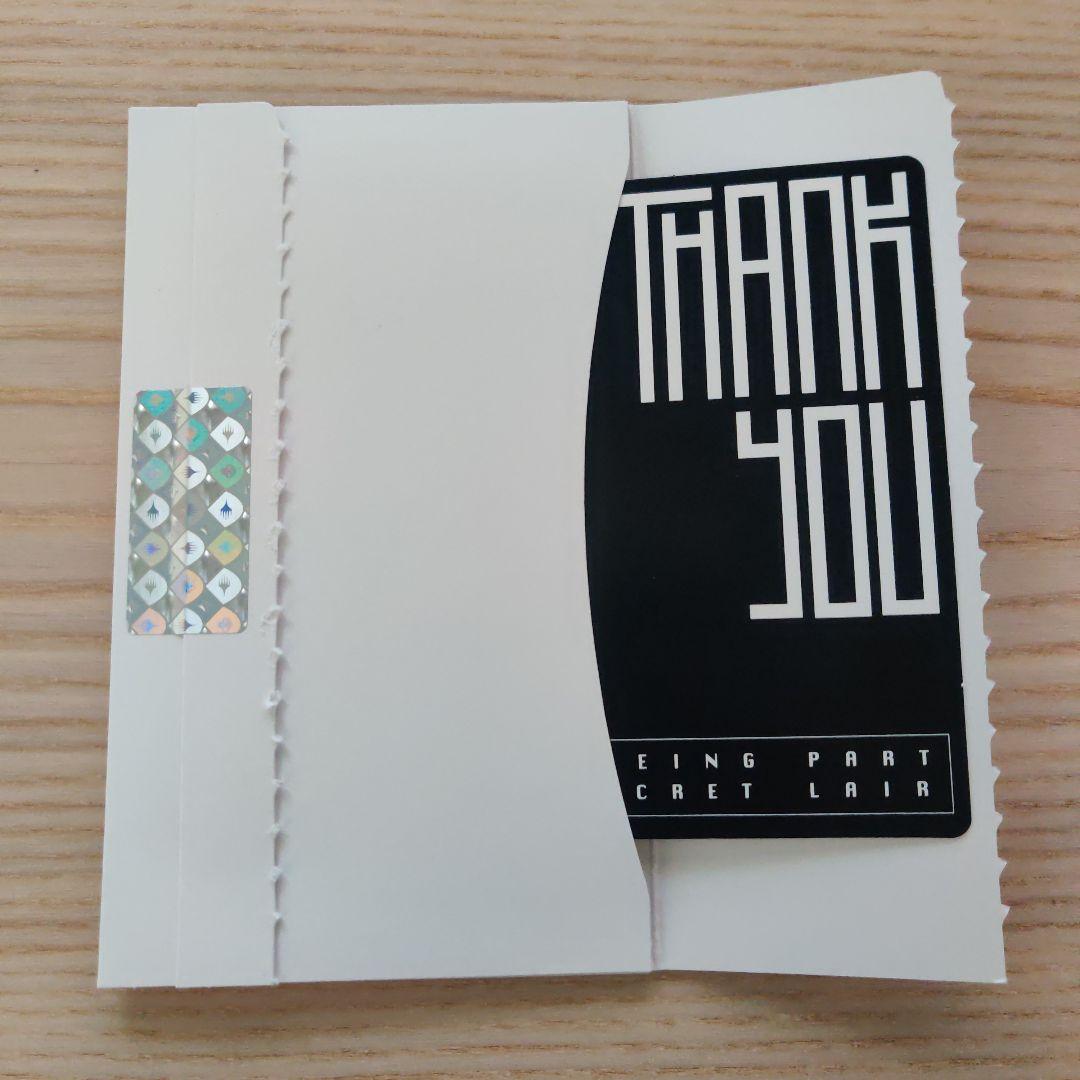 Secret Lair PixelLands_v02.jpg 1箱SLD MTG