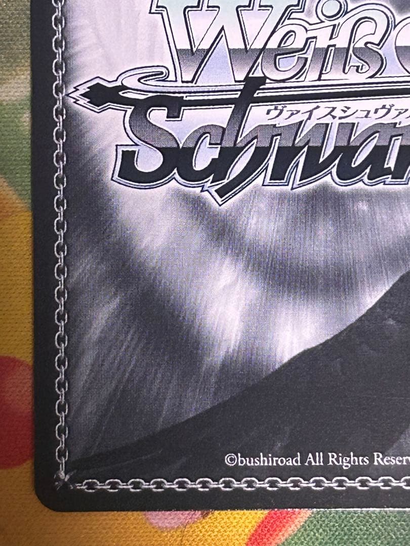 いつまでもどこまでも コッコロ SSP