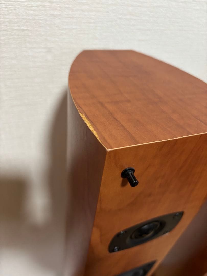 Pioneer　S-LM2-LR　トールボーイスピーカー　ペア