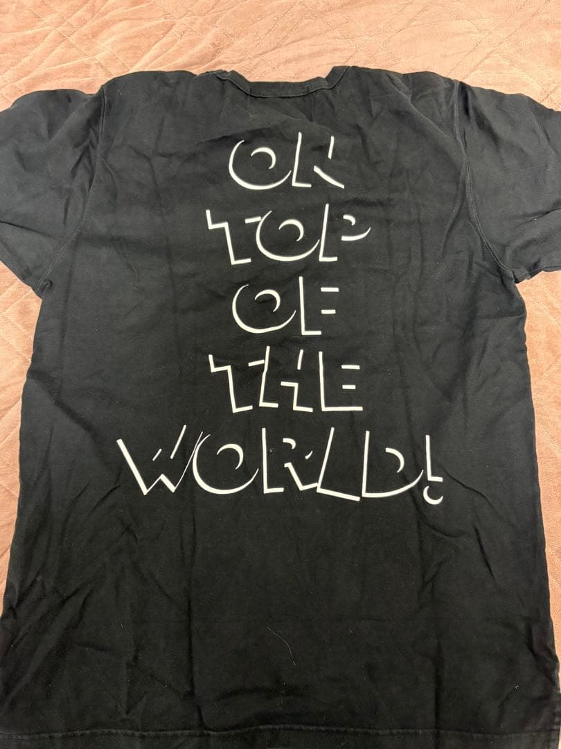 激レアL！mastermind HOMME×DISNEYミッキーマウスTシャツ黒