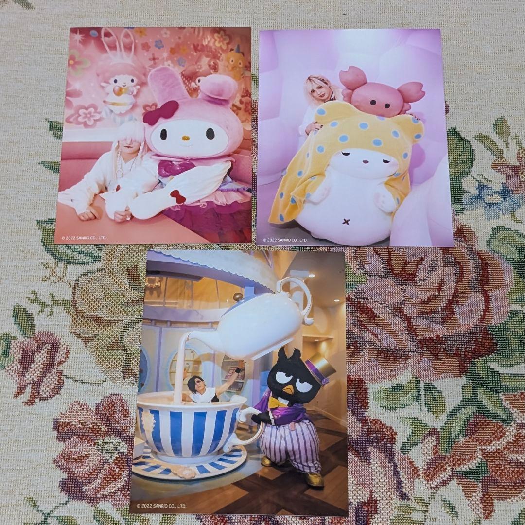 s*y様 ジグザグ　サンリオコラボグッズ　2022