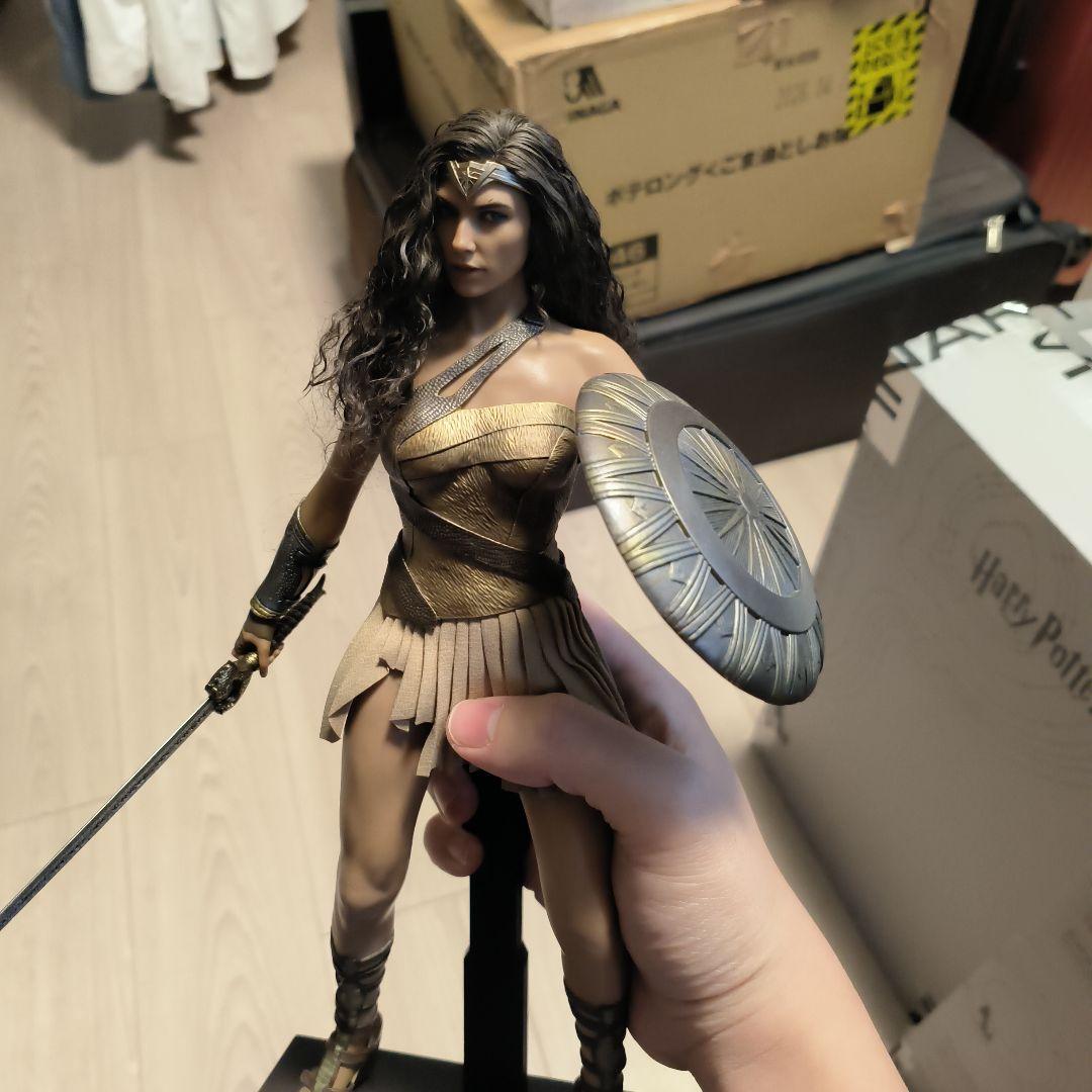 ホットトイズワンダーウーマン 天堂島訓練カスタマイズ