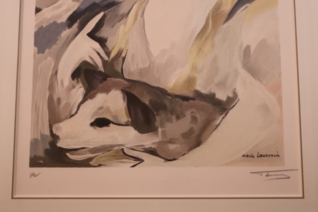 【絵画】マリー・ローランサン作　リトグラフ『犬を抱く女』