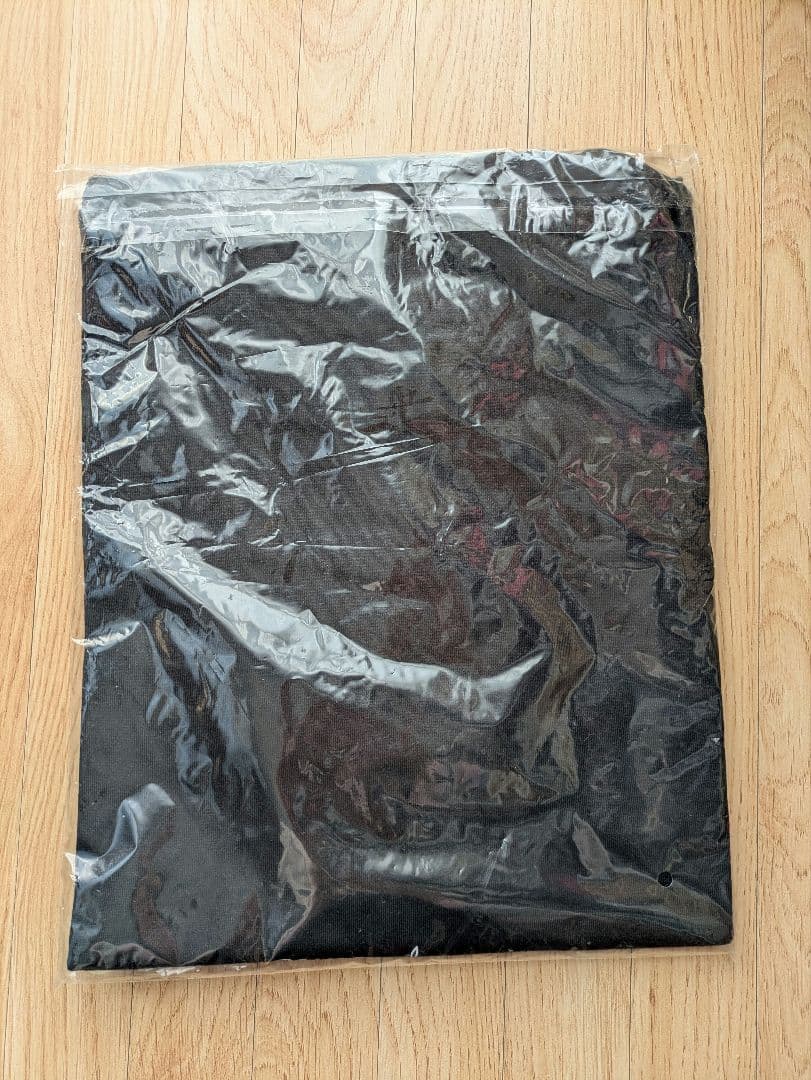 【完売品】The Alfee 2023春 Wind of Time Tシャツ L