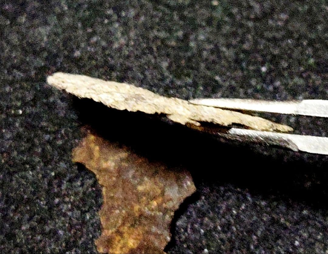 ★K-Pg境界層★山中地溝帯【イリジウム層+古第三紀層】