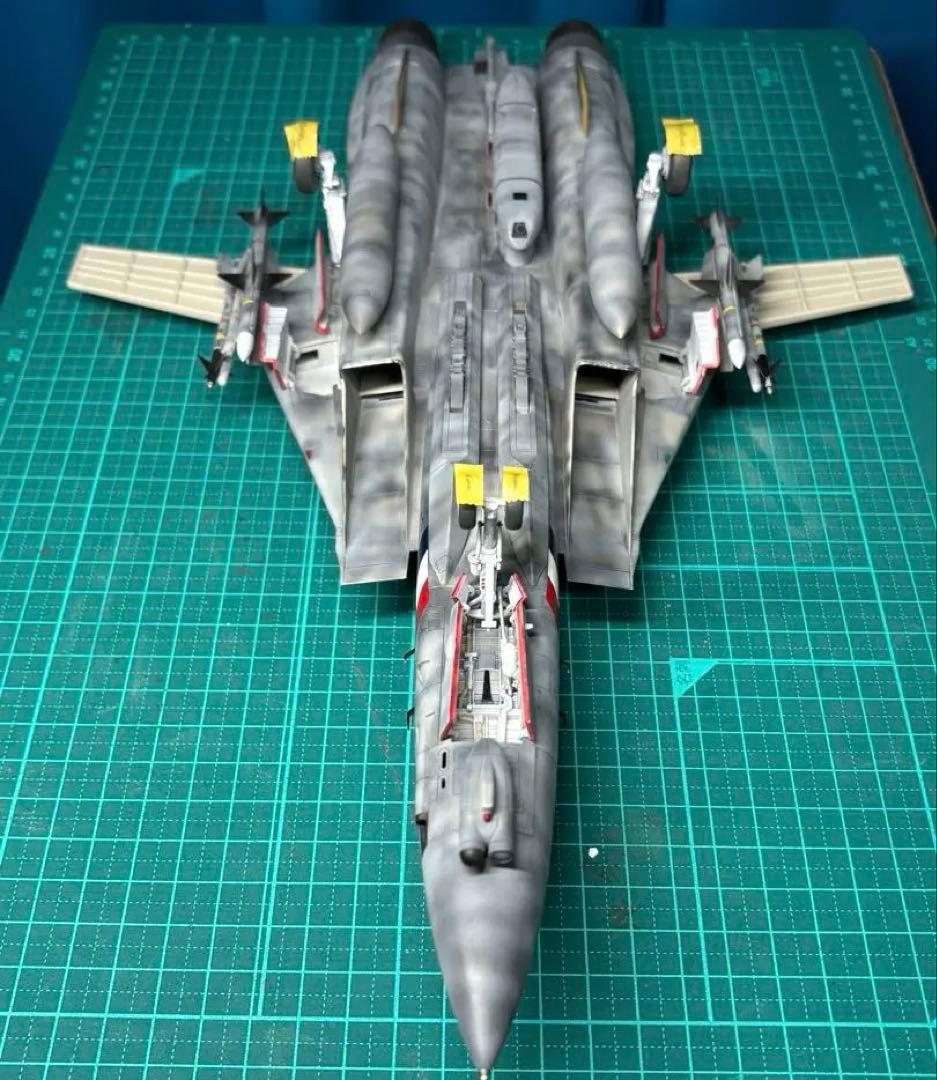 戦闘機　プラモデル　完成品　タミヤ　1/48　グラマン　F-14Dトムキャット