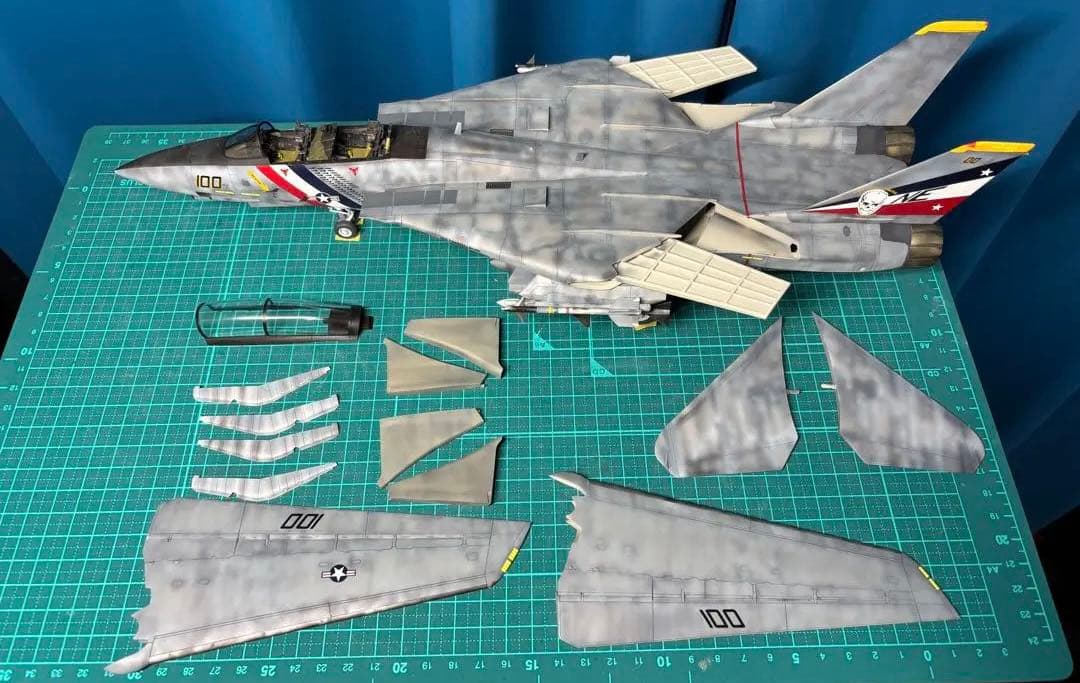 戦闘機　プラモデル　完成品　タミヤ　1/48　グラマン　F-14Dトムキャット