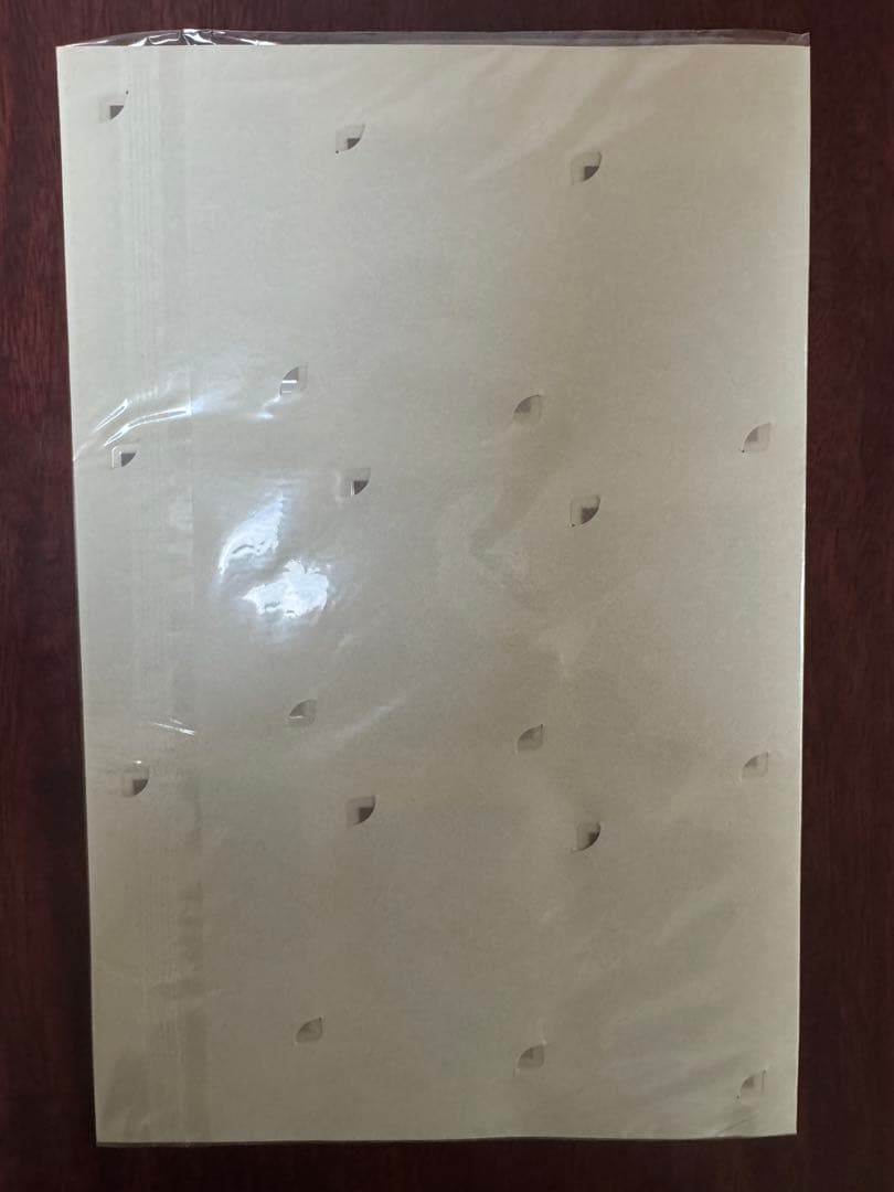 カードキャプターさくら トレーディングカード　ラミカード