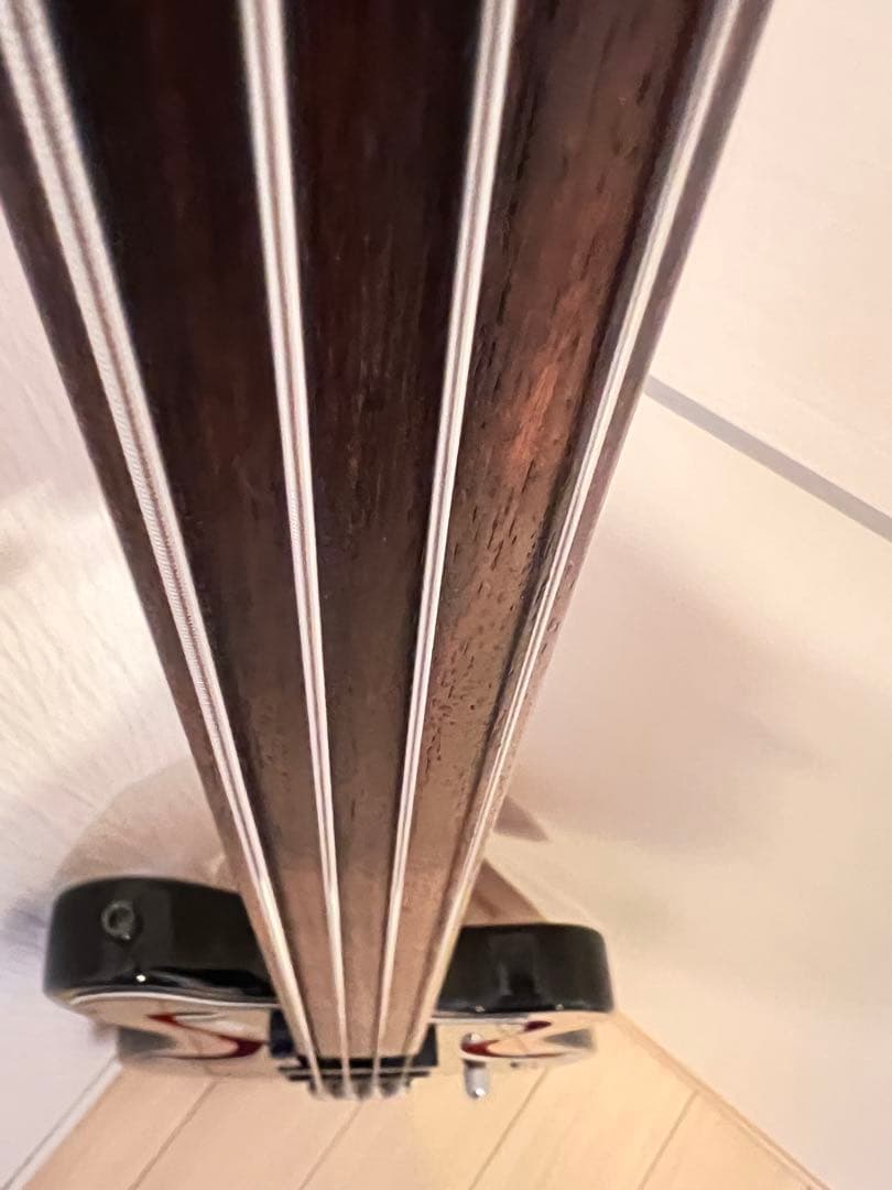 激レア　Greco / A-100FL BK カスタム フレットレスベース