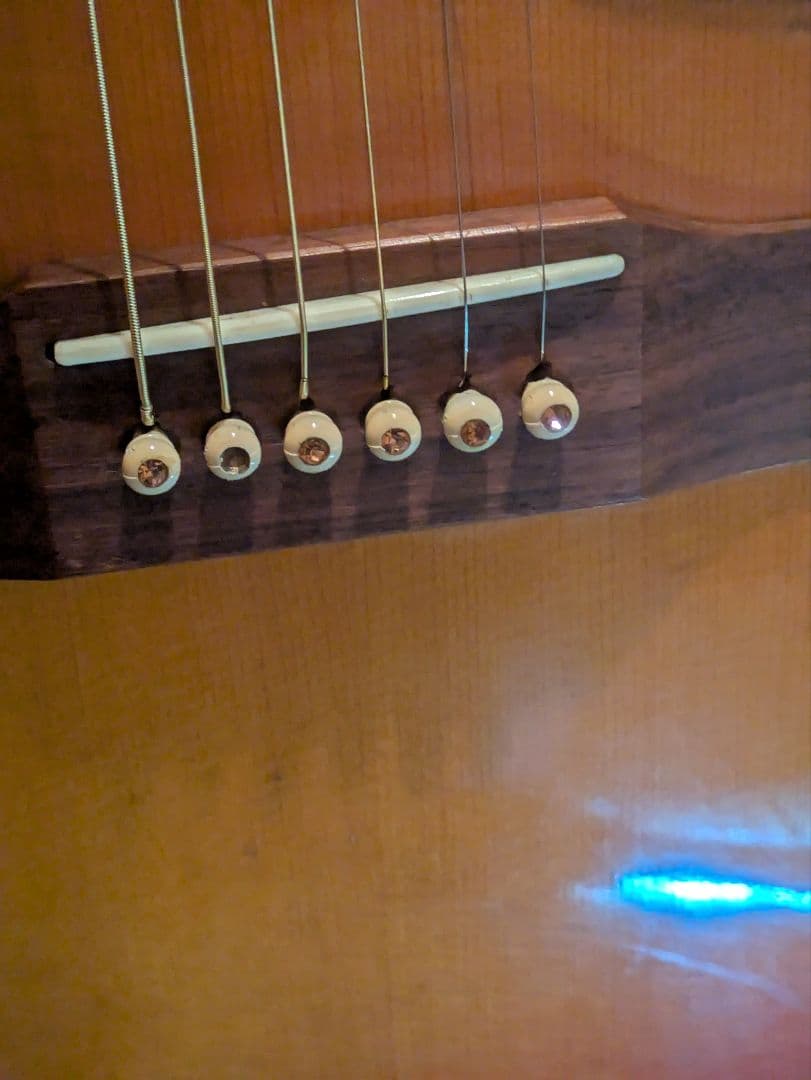 Aria WH30 アコースティックギター