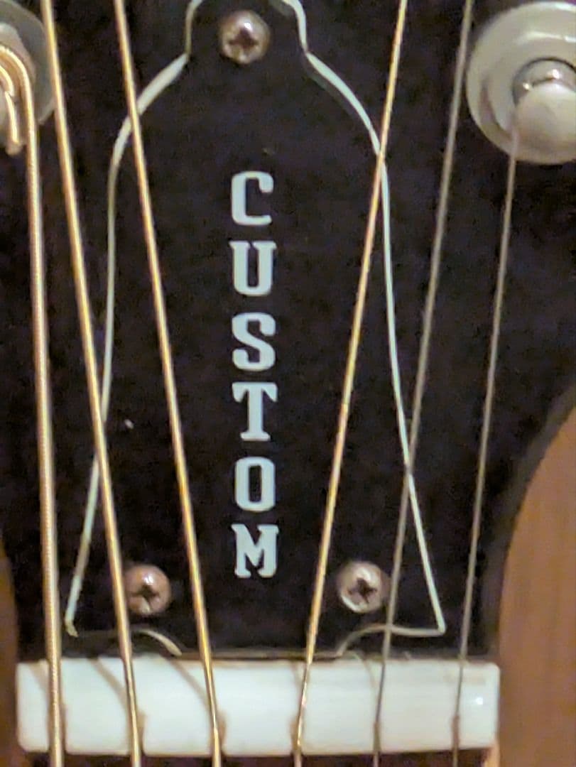 Aria WH30 アコースティックギター