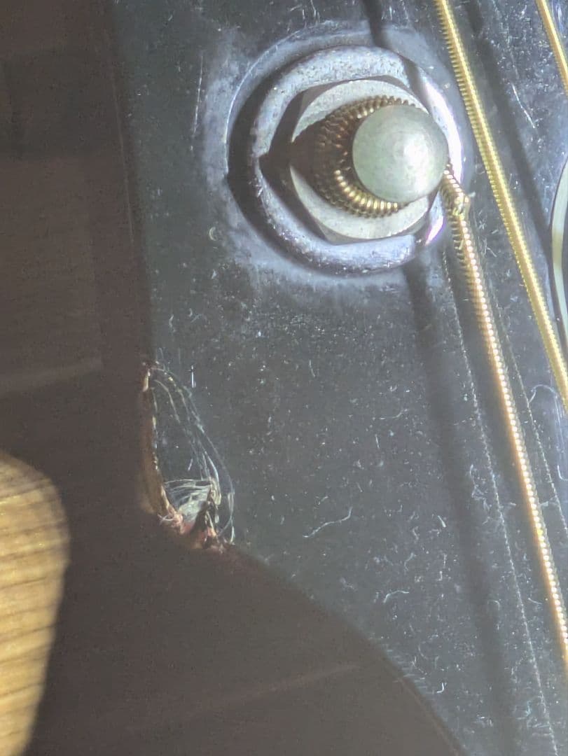 Aria WH30 アコースティックギター