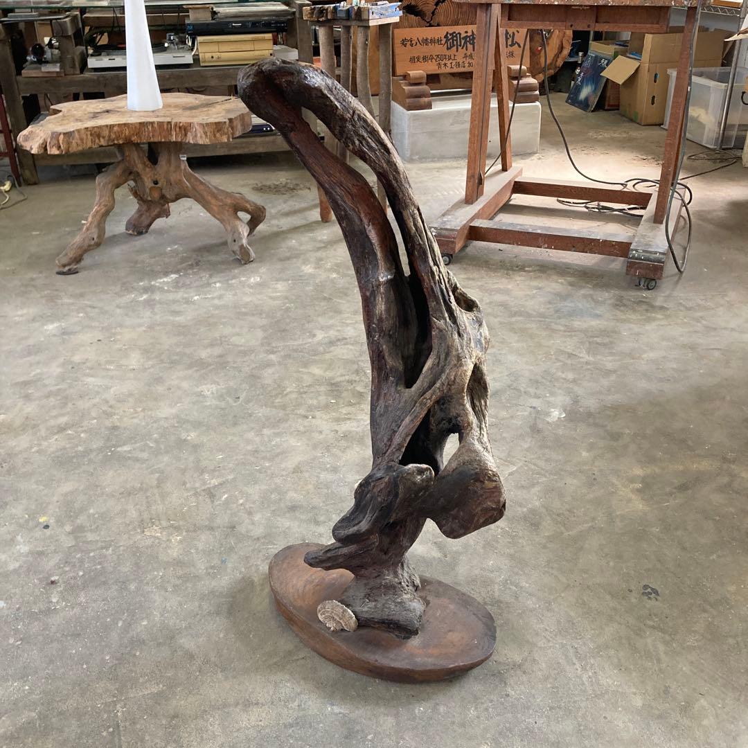 B 空洞美型 流木 枯木 古木 収集品 高さ84.5cm