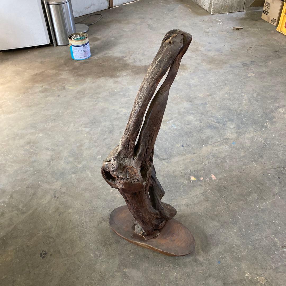 B 空洞美型 流木 枯木 古木 収集品 高さ84.5cm