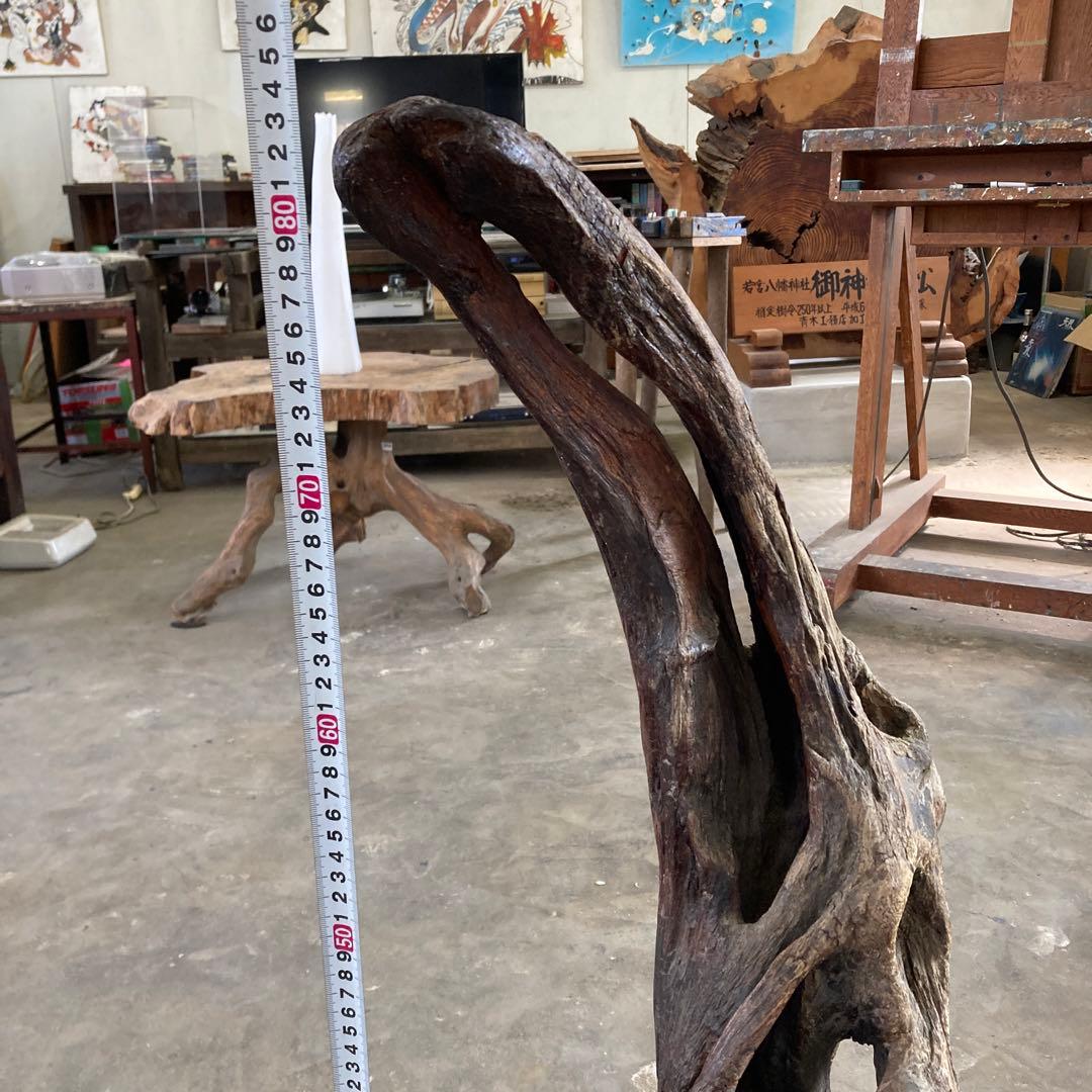 B 空洞美型 流木 枯木 古木 収集品 高さ84.5cm