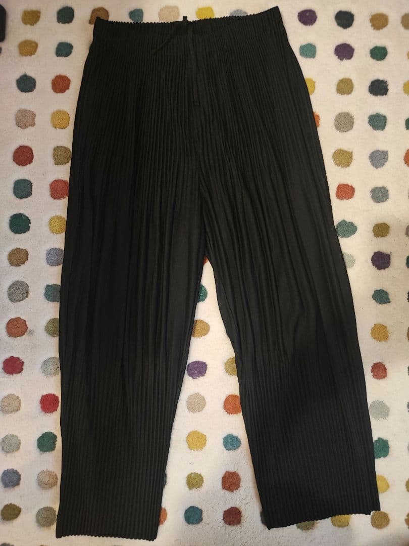 Homme Plisse イッセイミヤケ・パンツ