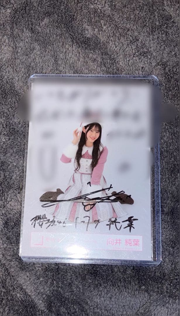 向井純葉 2024サンタ衣装 座り直筆サイン