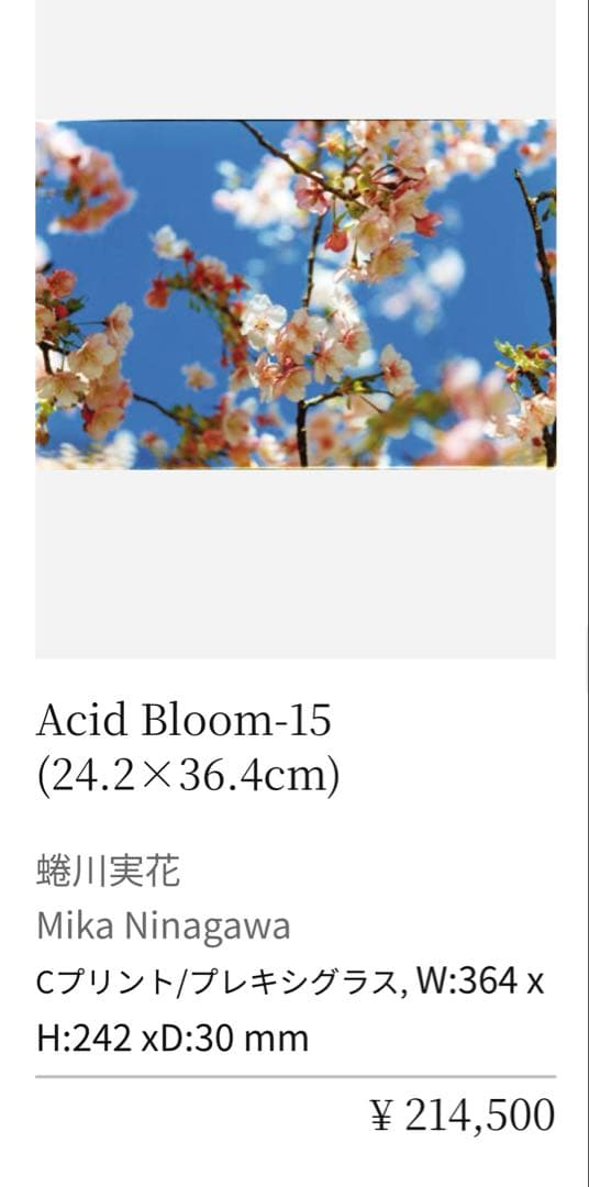 蜷川実花 Mika Ninagawa 桜 写真 GALLERY TAGBOAT