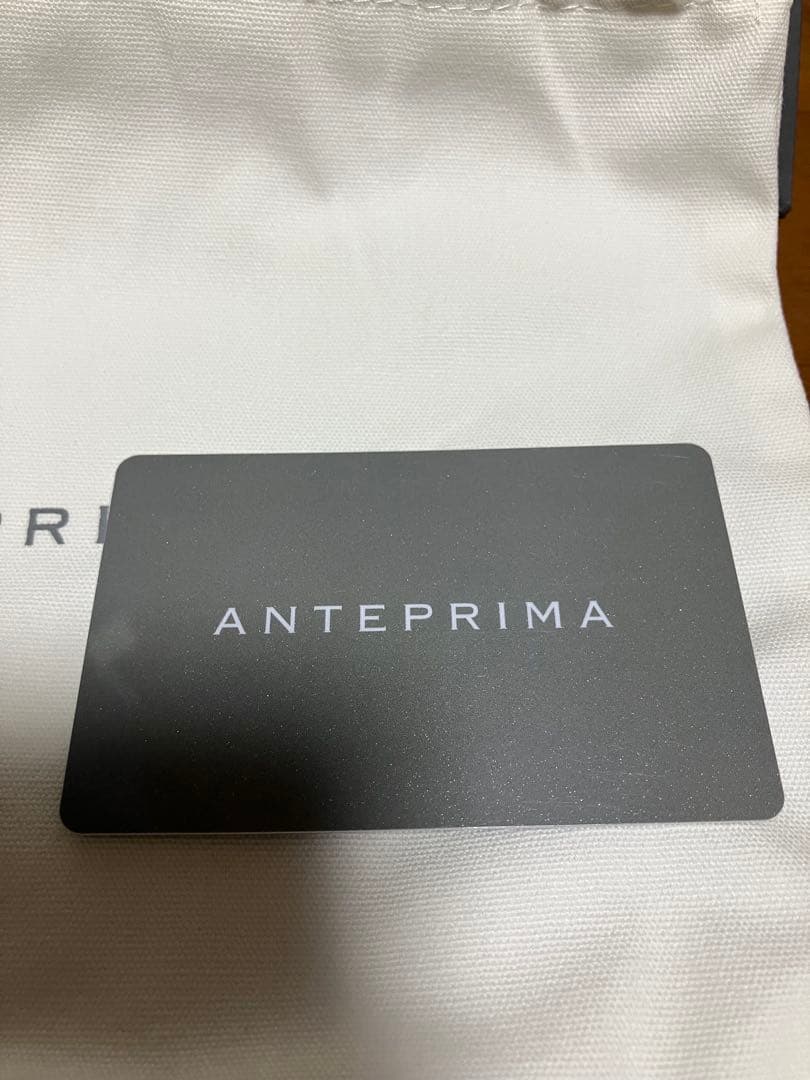 ANTEPRIMA ミニアトゥーラ　シルバー