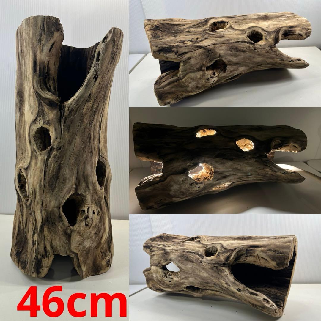 V95 アク抜き済み流木 爬虫類シェルター 登り木 インテリア 生け花