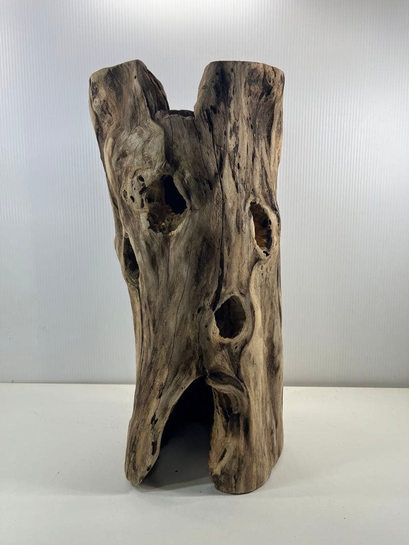 V95 アク抜き済み流木 爬虫類シェルター 登り木 インテリア 生け花