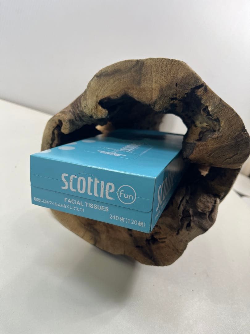 V95 アク抜き済み流木 爬虫類シェルター 登り木 インテリア 生け花