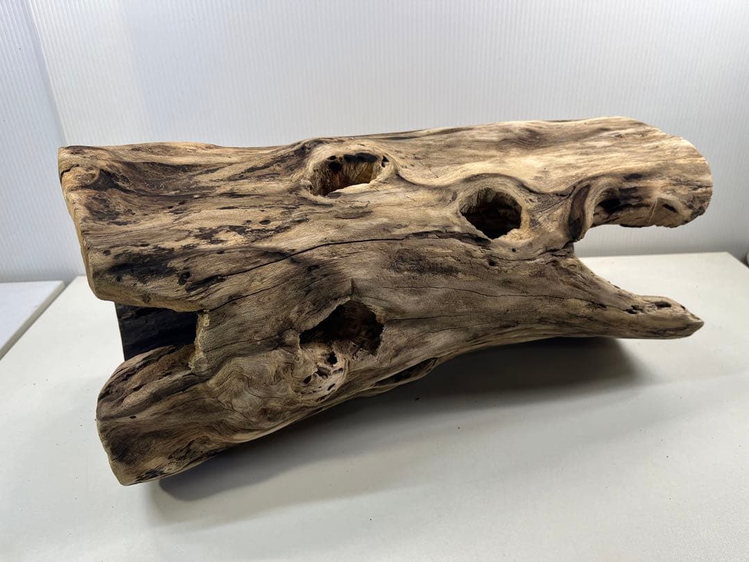 V95 アク抜き済み流木 爬虫類シェルター 登り木 インテリア 生け花