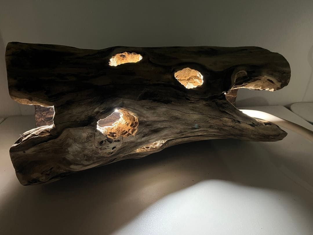 V95 アク抜き済み流木 爬虫類シェルター 登り木 インテリア 生け花