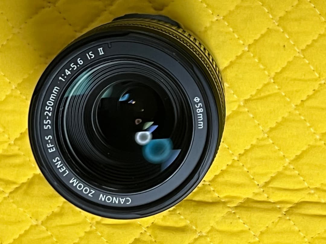 Canon EF-S 55-250mm F4-5.6 IS Ⅱ