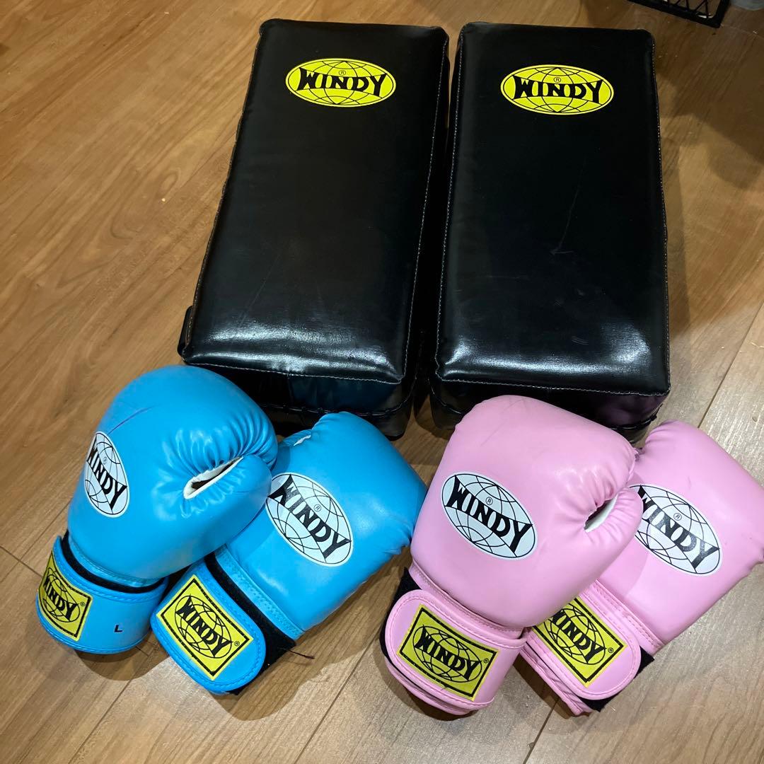 ⭐︎専用⭐︎WINDY ボクシンググローブ Lサイズ 青 ピンク 2セット　キッズ