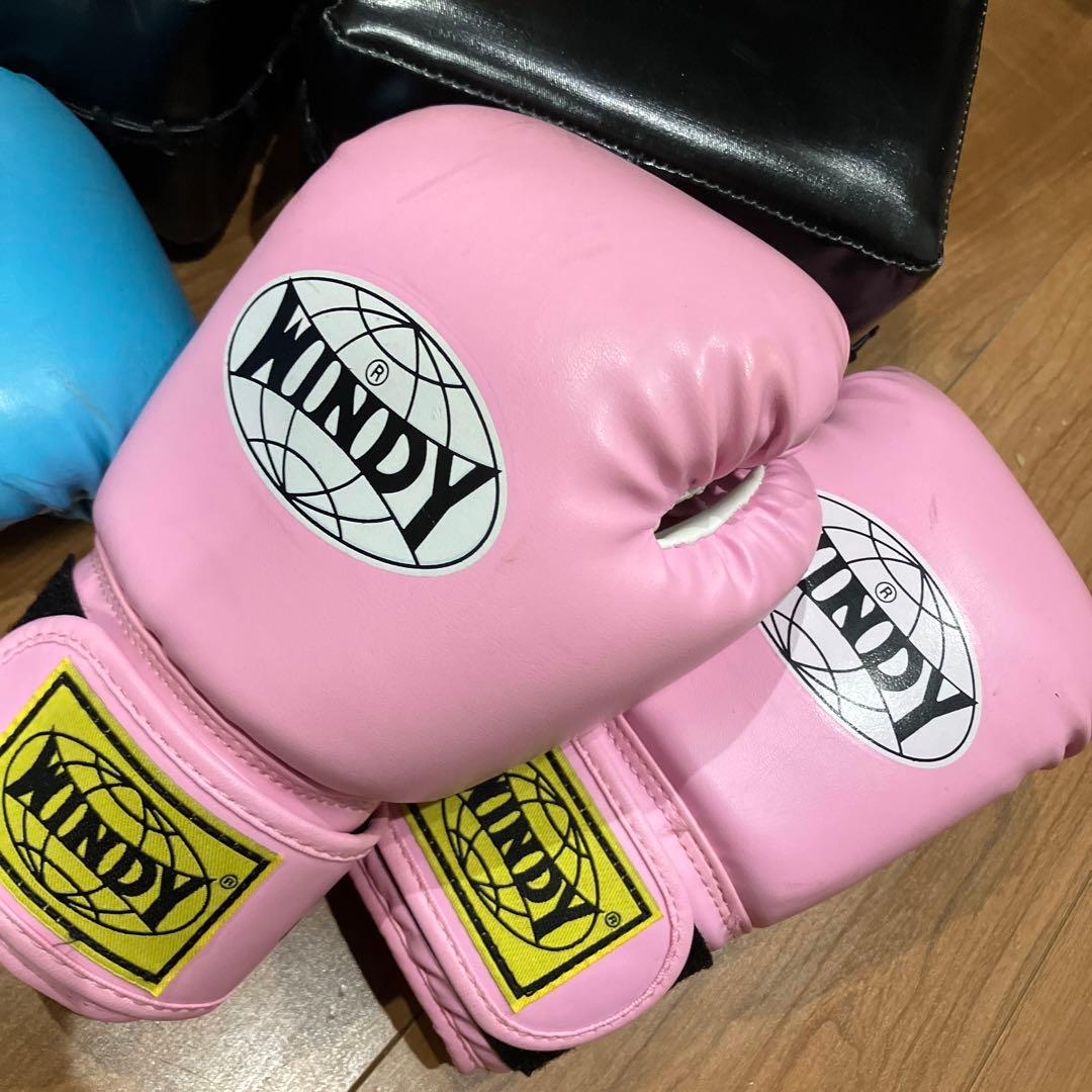 ⭐︎専用⭐︎WINDY ボクシンググローブ Lサイズ 青 ピンク 2セット　キッズ