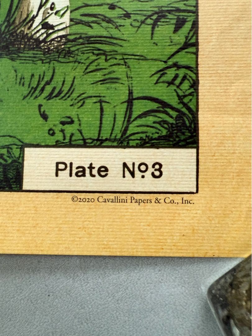 古着 ビンテージ USA きのこ 植物図鑑 サイケデリック ポスター 希少 美品