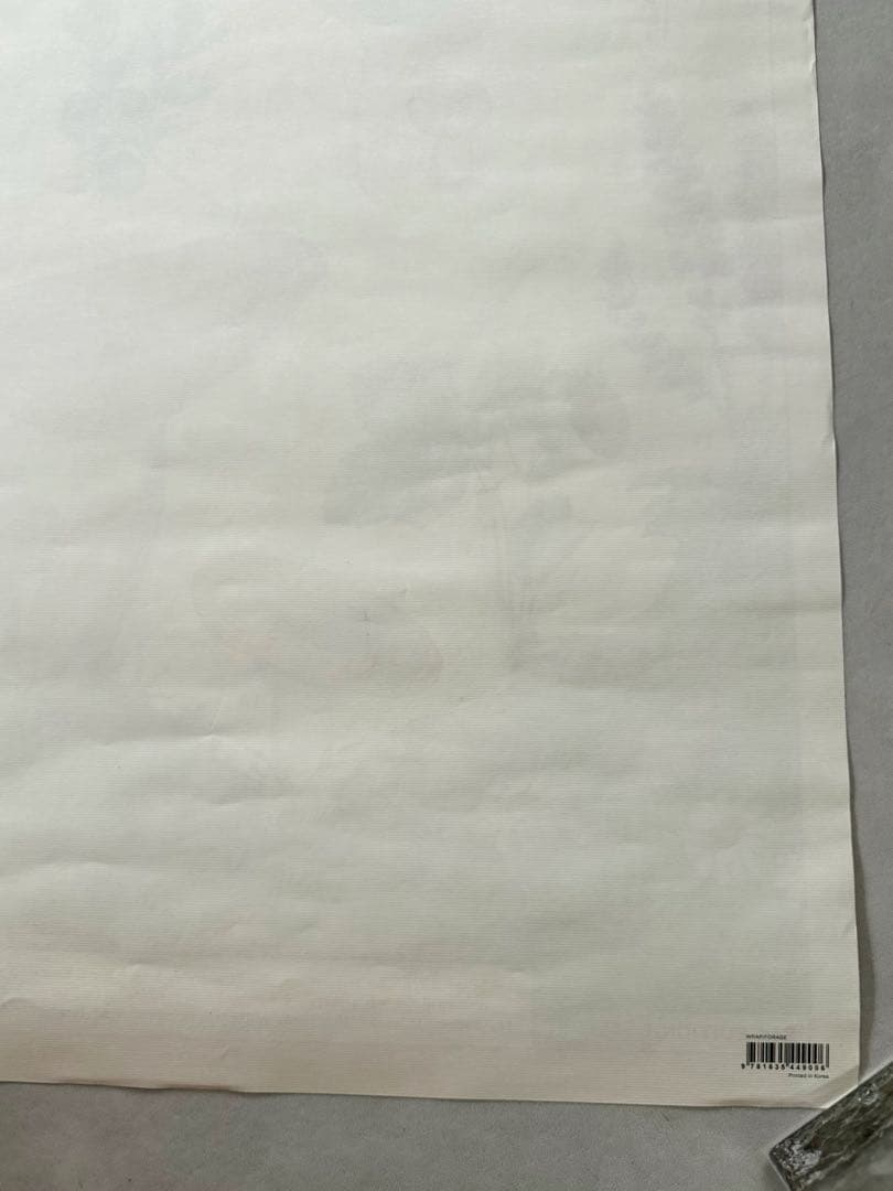 古着 ビンテージ USA きのこ 植物図鑑 サイケデリック ポスター 希少 美品