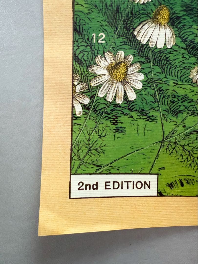 古着 ビンテージ USA きのこ 植物図鑑 サイケデリック ポスター 希少 美品