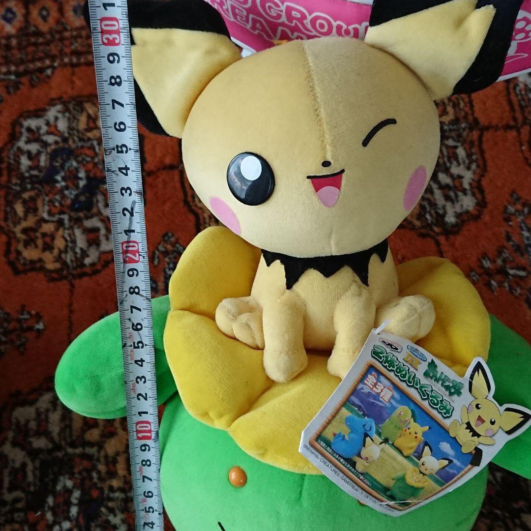 ゲームセンター限定非売品・新品・ポケモン「ＤＸ・２体ぬいぐるみ」