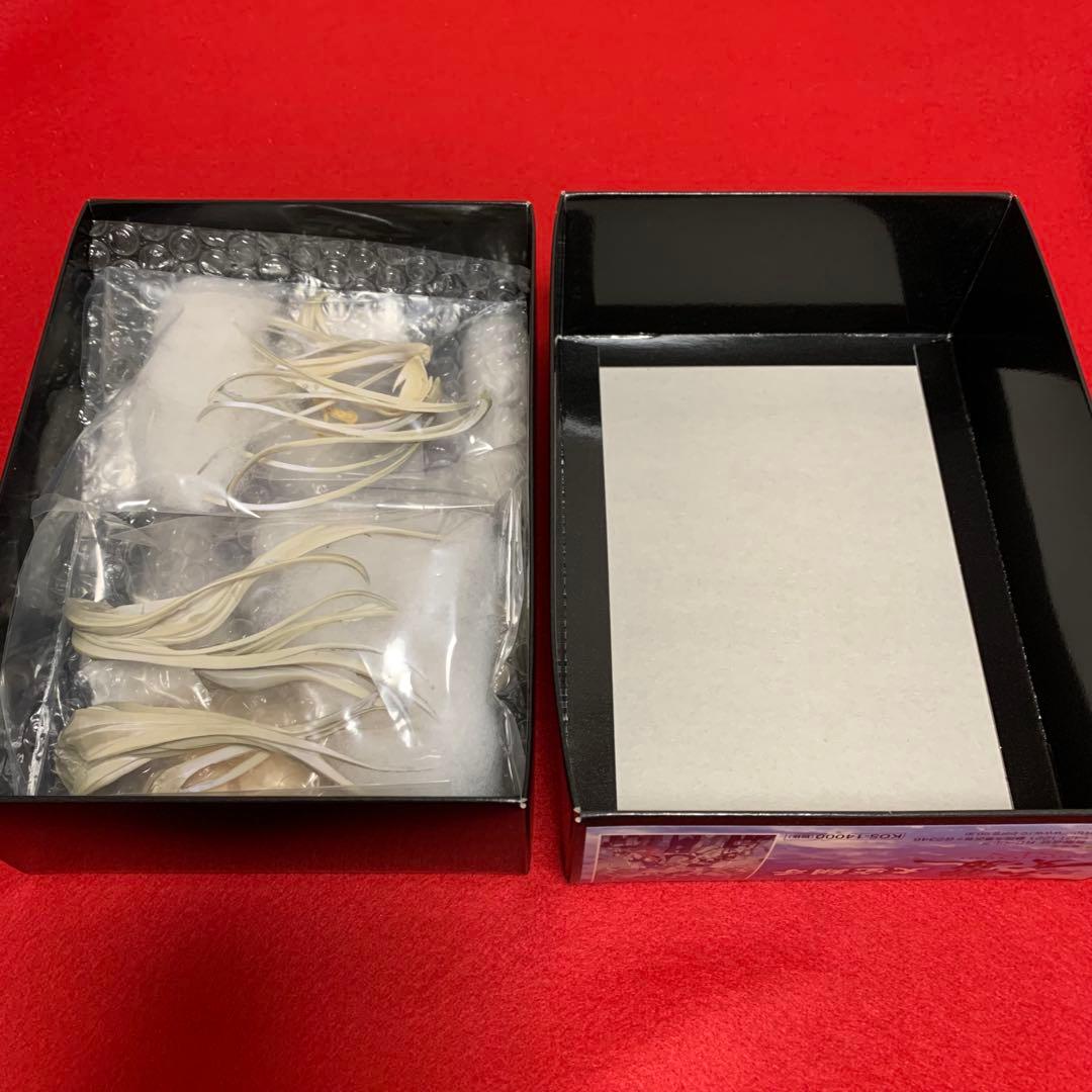 解放少女SIN 大空翔子 ガレージキット 新品・未組み立て 組み立て図付き