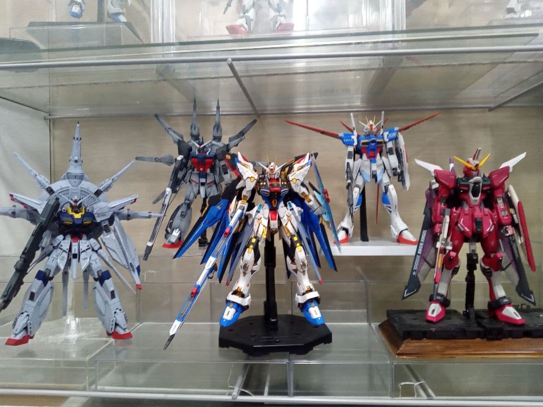 き*え様 ガンダムSEED系 1/100 MGEX MG ジャンクセット