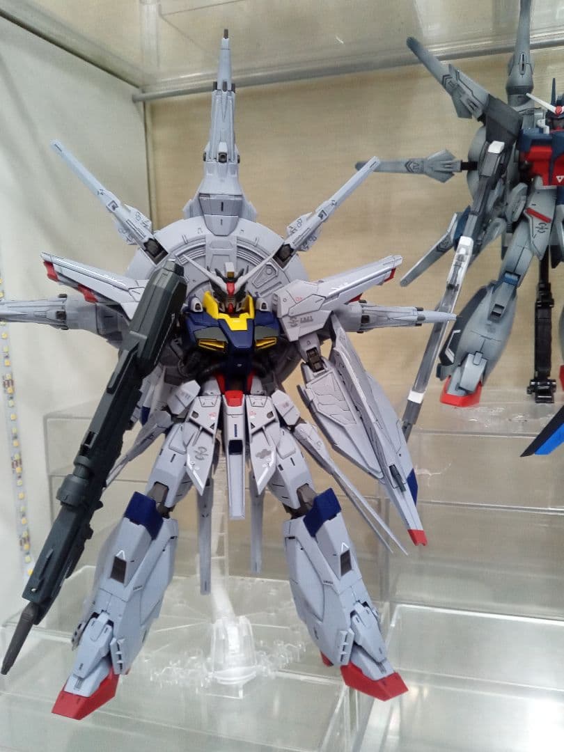 き*え様 ガンダムSEED系 1/100 MGEX MG ジャンクセット