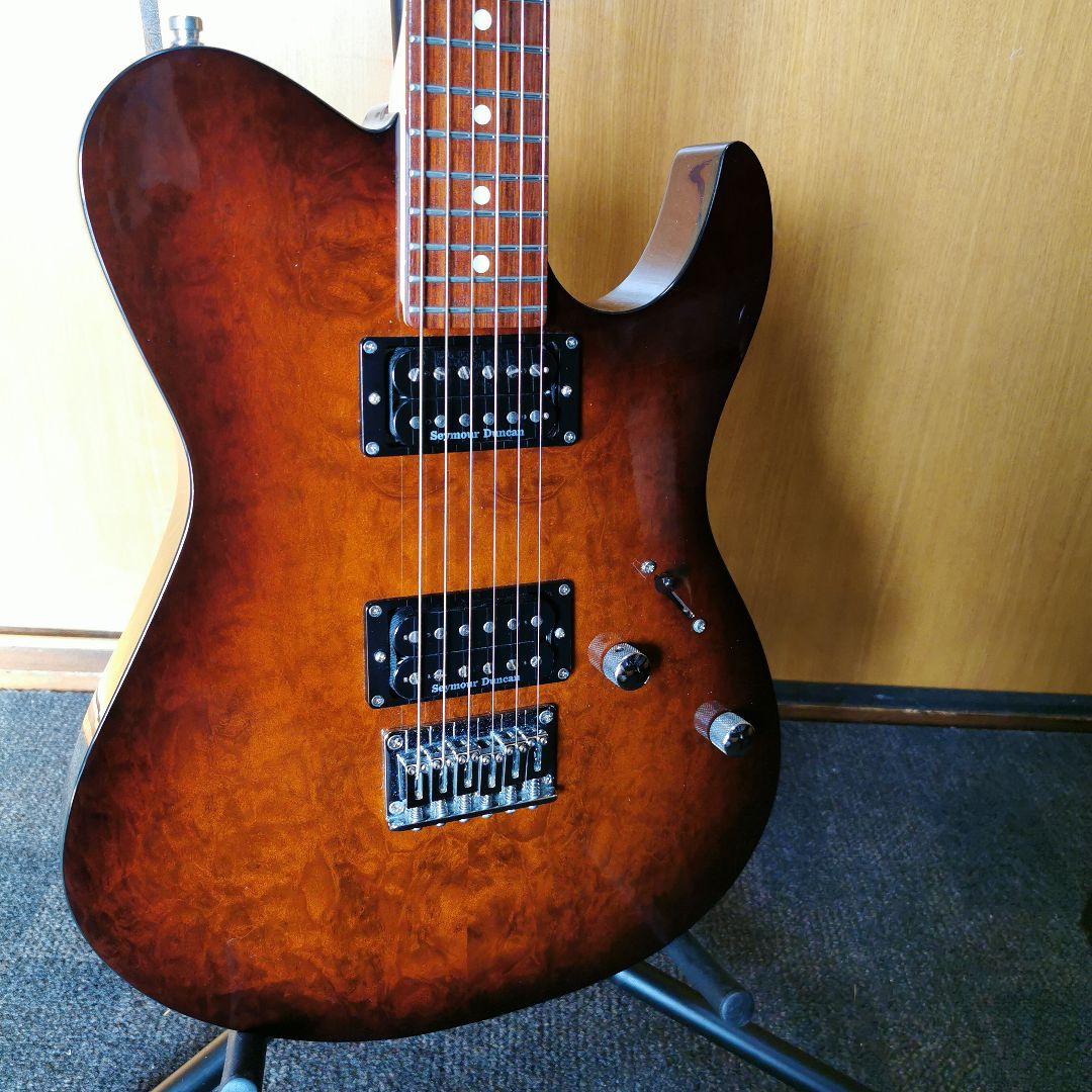 ギター FUJIGEN JIL2-EW1-G/IBS/01