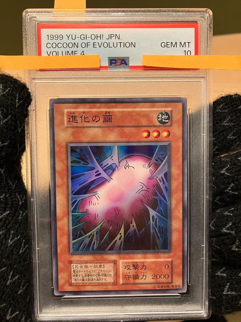 進化の繭　遊戯王　初期　PSA10