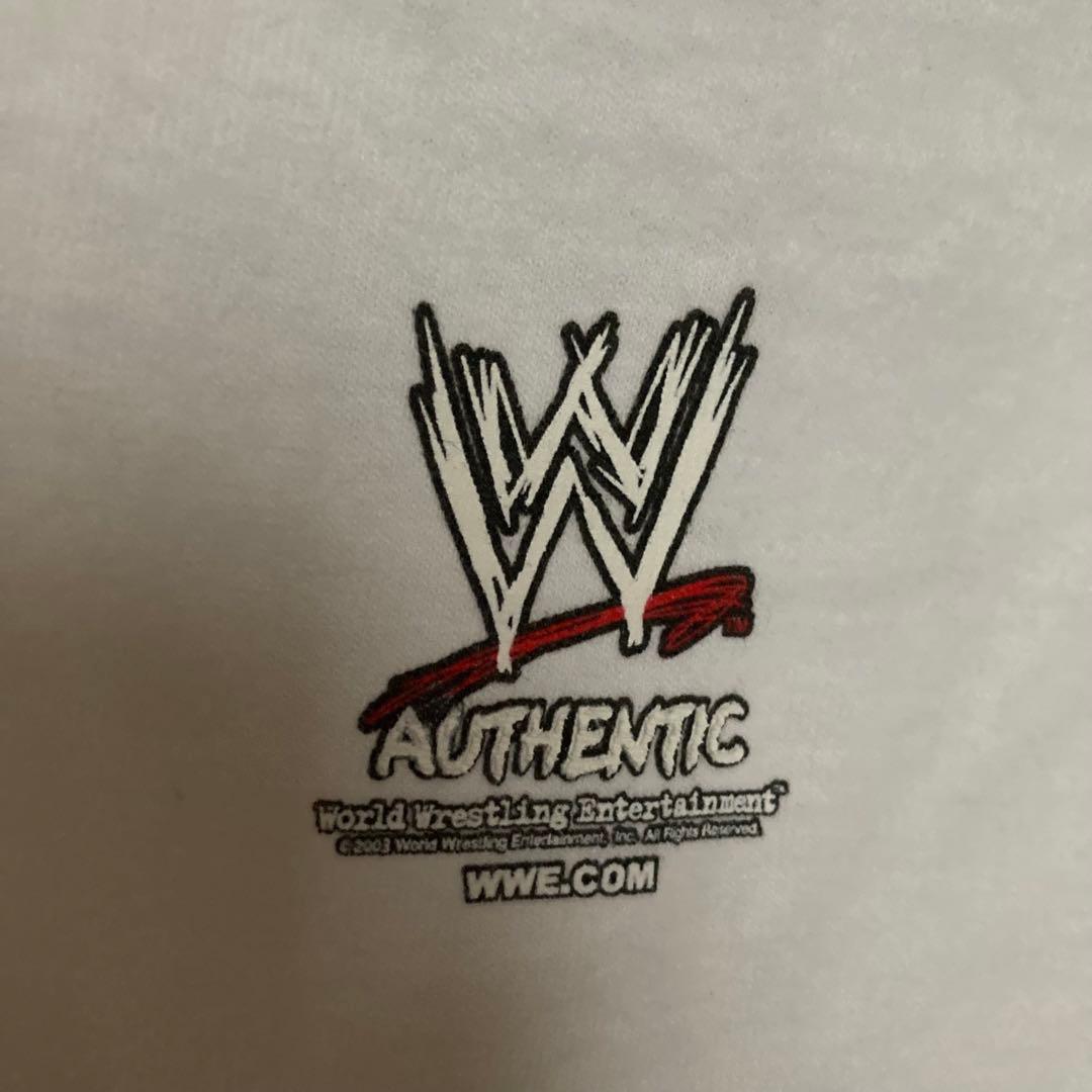 【USA製　2002年】ハルク ホーガン Mr.America ノースリーブ