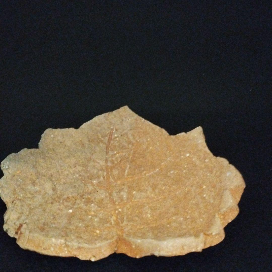 辻清明　信楽　木の葉皿