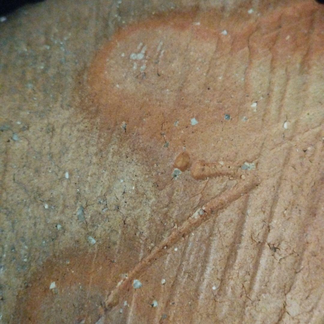 辻清明　信楽　木の葉皿