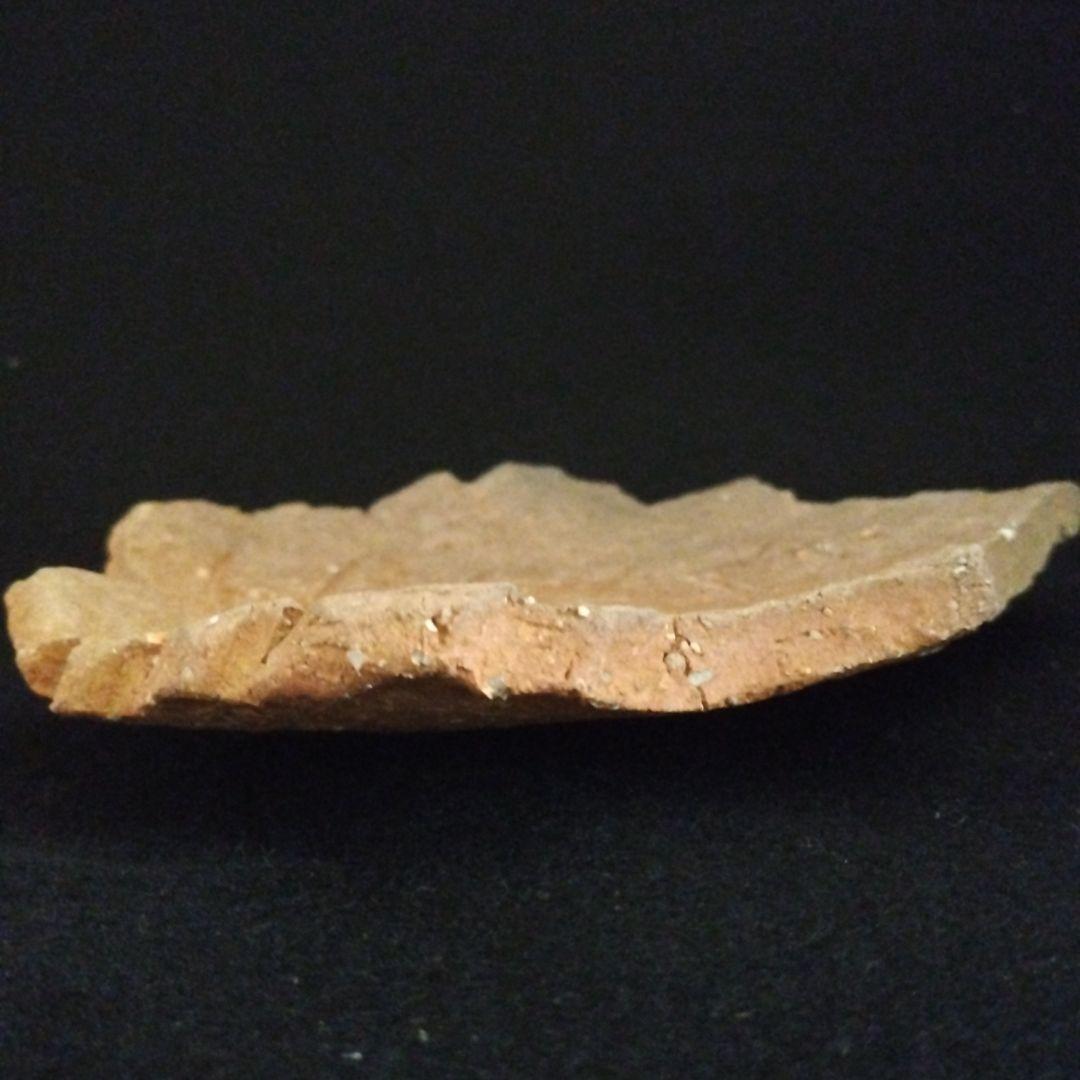 辻清明　信楽　木の葉皿