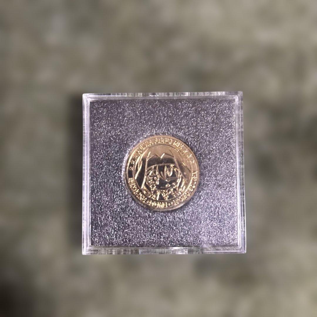 【非売品】戦国乙女メンバーズカード 大友ソウリンメダルセット