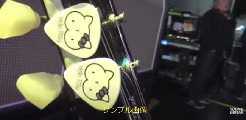 Guns n' Roses Slash スラッシュ 2015年 ギターピック