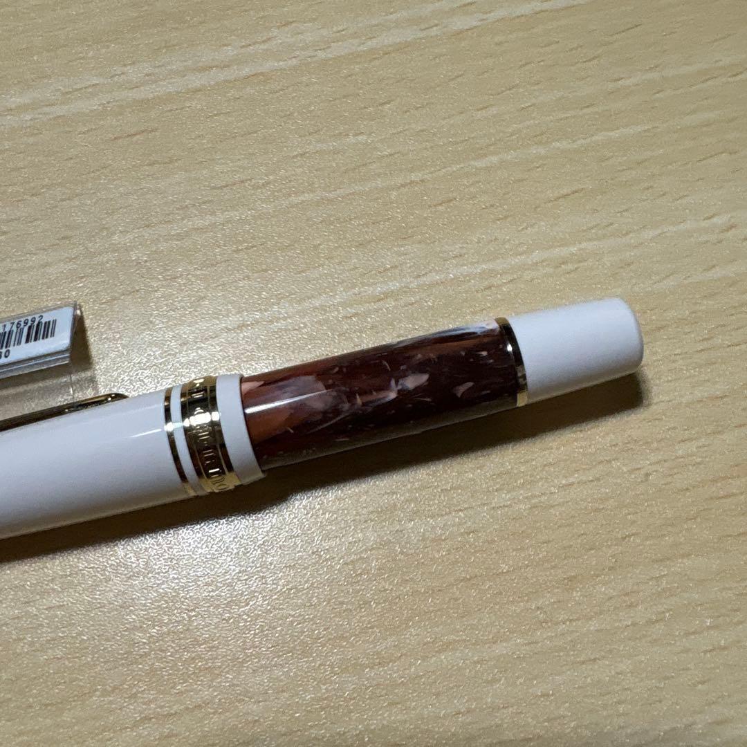 SAILOR ランコントル万年筆 MF 【数量限定品】マロン